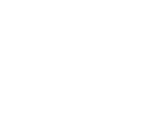 NFL Logo